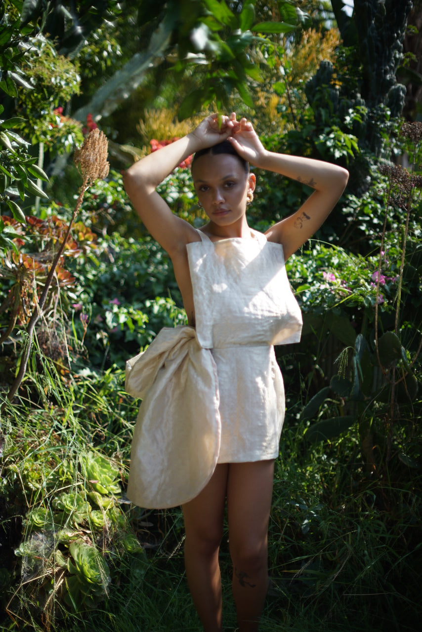 Half Apron dress