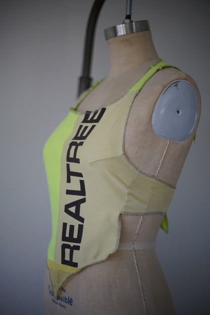 DS Bib in real plumbers tree