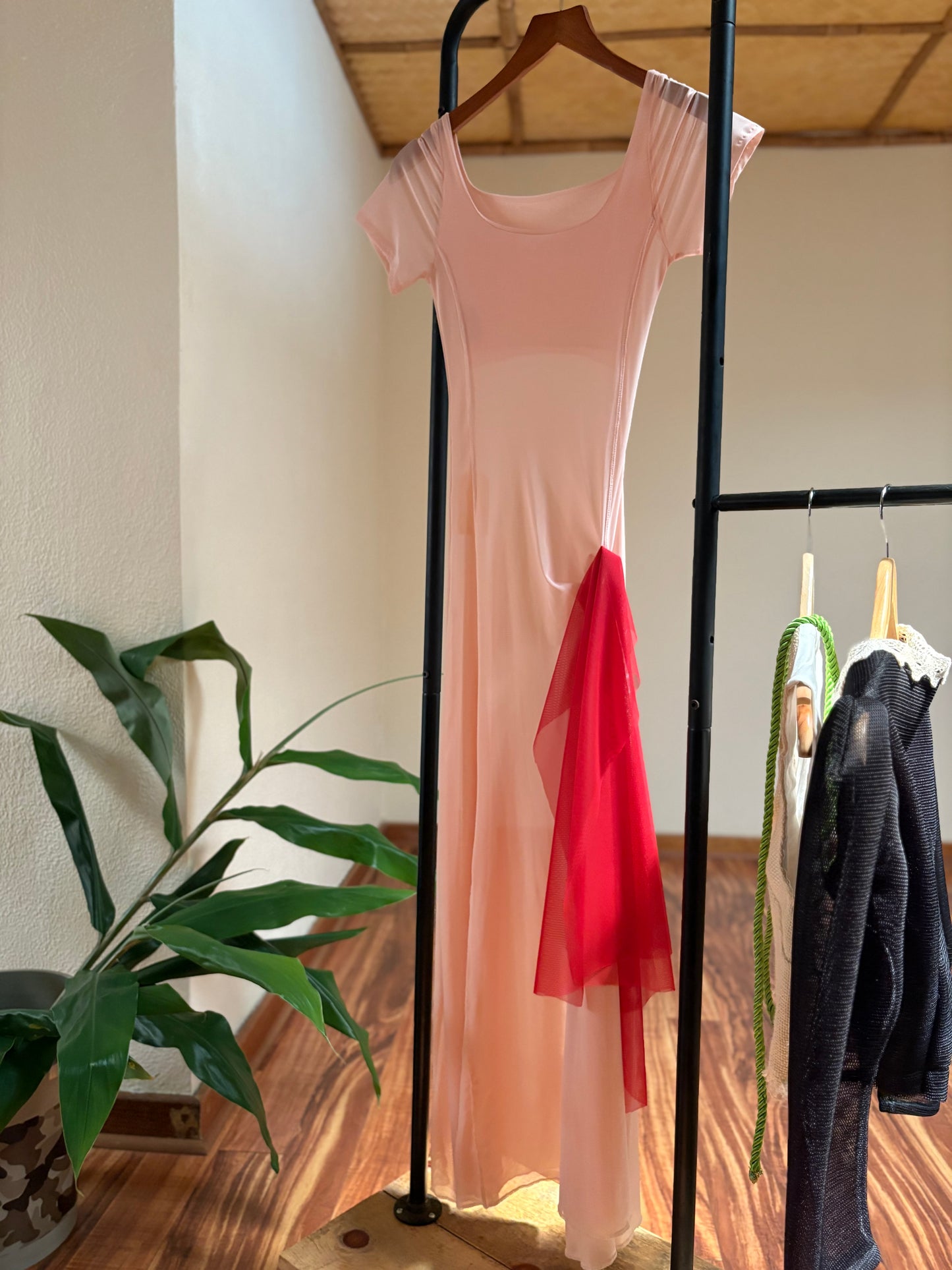 Princess Seams dress with red