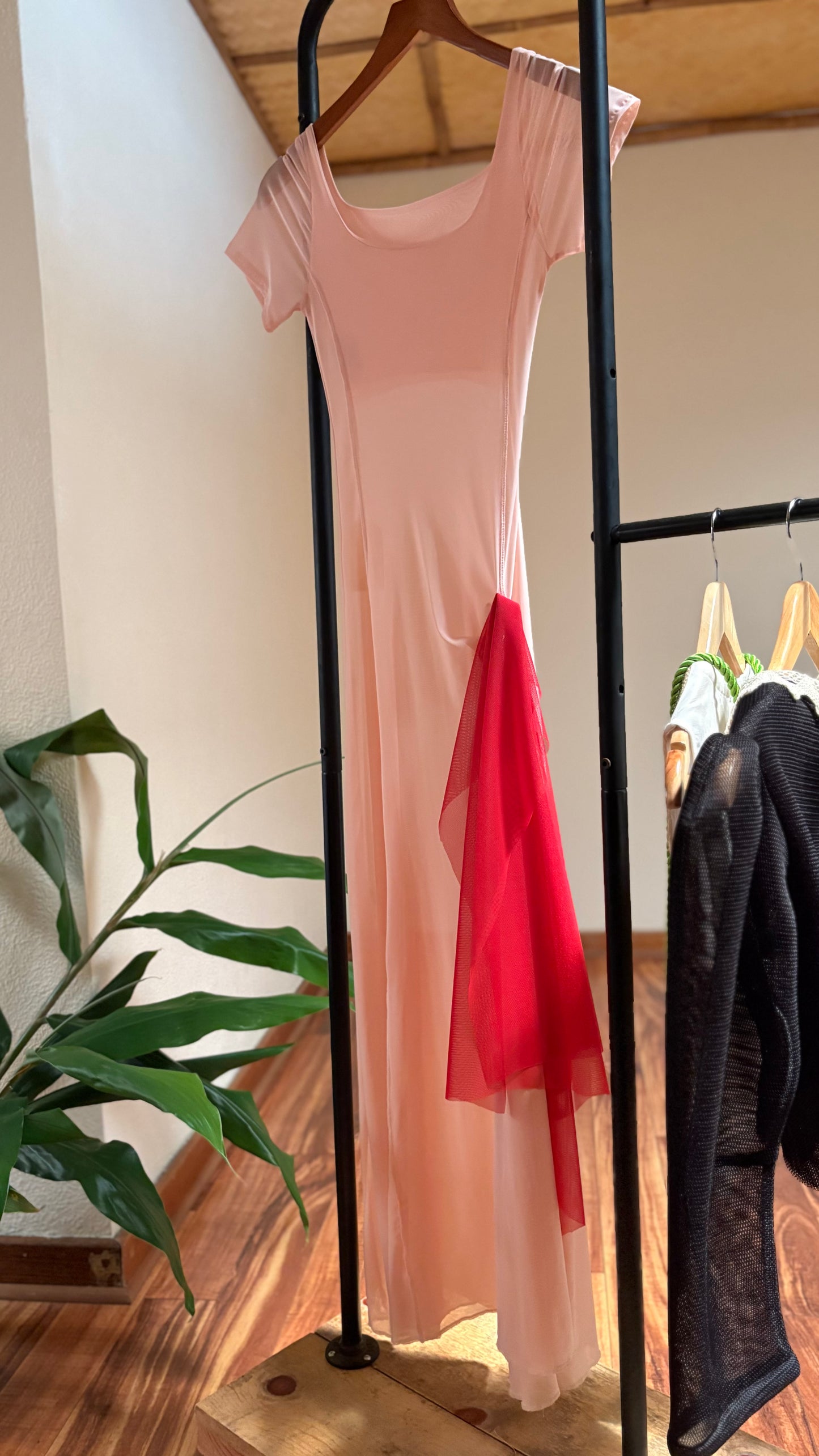Princess Seams dress with red
